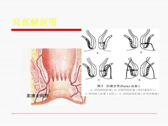 澳门威尼克斯人网站